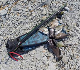 successful underwater hunting