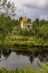 Fototapeta premium Summer morning on the banks of the river mga in the Leningrad region.