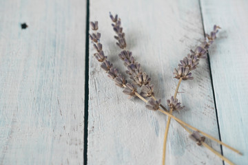 Lavender in white rustic wooden desk. Toned photo. Space for text.