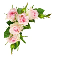 Poster de jardin Roses Belles fleurs et bourgeons de roses blanches dans une composition d& 39 angle