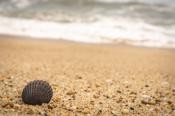 Amagansett