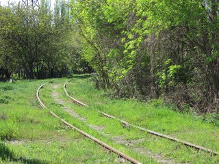 old railway, turn in the trees.