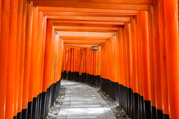 path across red toriis in japan