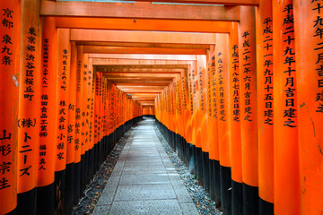 path across red toriis in japan