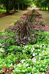 Alley in the park - benches, flowers and sidewalks.