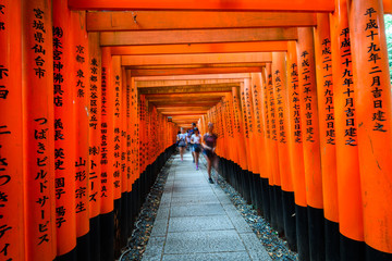Fototapeta premium path across red toriis in japan