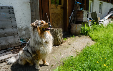 sunny
