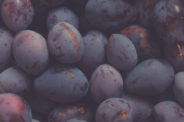 sweet and fresh plums
