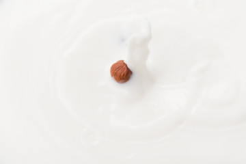 Close-up hazelnut falling into milk motion blurred