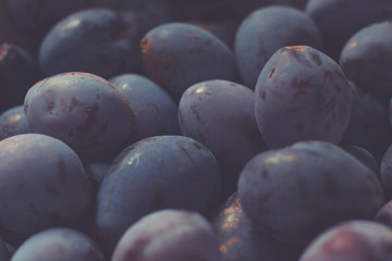 sweet and fresh plums