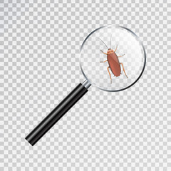 Vector realistic isolated magnifier with a cockroach for decoration and covering on the white background. Concept of insect danger and disinsection.