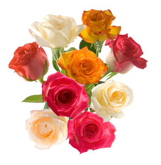 Isolated image of flower close-up