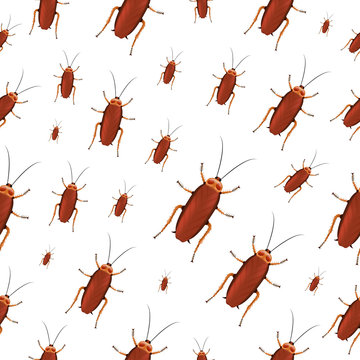 Vector realistic isolated seamless pattern with a cockroach for decoration and covering on the white background. Concept of insect danger and disinsection.
