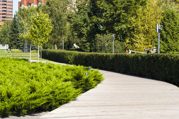 Wooden path between bushes and grass in the Park for walks.