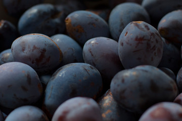 sweet and fresh plums