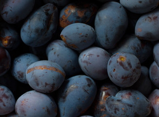 sweet and fresh plums