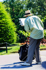 Musician: Boston Public Garden