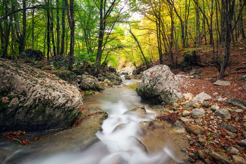 Autumn creek woods with yellow trees foliage and rocks in forest mountain.