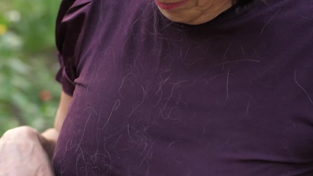 Animan hair on clothes