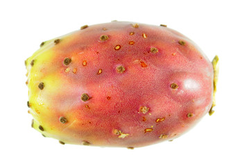 Prickly pear fruit isolated on white background