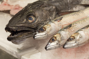 fresh raw fish for dishes.