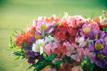 Closeup bouquet of flowers on green background