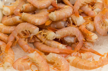 Fresh shellfish shrimps in ice.