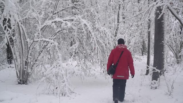 Winter stroll