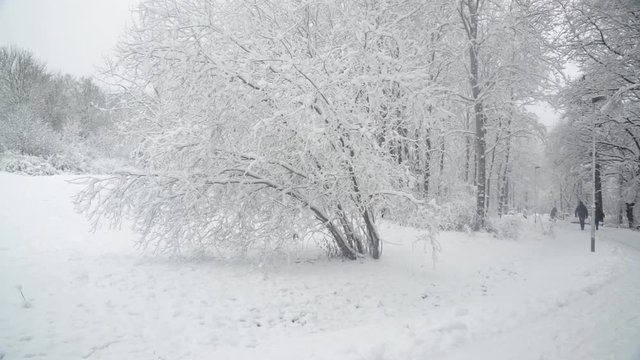 Snow pano
