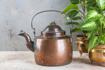 Old copper teapot and green plants