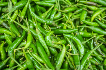Green chilli Pattern