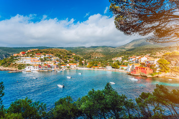 Assos village, Kefalonia. Greece. White yachts and boats staying at anchor in azure water of the bay. pine trees branches in foreground