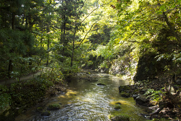 Obraz premium Hanamaki Onsen Kamafuchi no Taki Segawa widziana ze ścieżki spacerowej