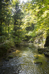 花巻温泉　釜淵の滝　散策路から見る瀬川