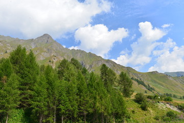 Samnaungruppe in den schweizer Ostalpen