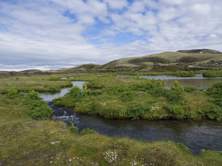 Fototapeta na wymiar Landscape with lush green grass and moss and floer, water stream curves and lava field hills in Iceland central mountain on mountain road F206