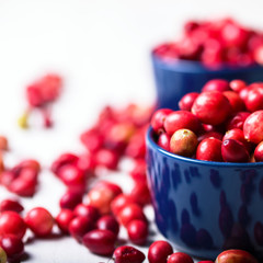 cranberries on a wooden table