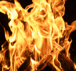 Fototapeta premium bright orange and yellow flames on a black background