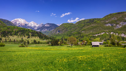 Fototapeta na wymiar Landscape view of one wooden rural cottage on green meadow surrounded with green forest. Summer in Bohinj, Stara Fuzina, Slovenia,Europe.