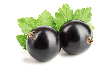 two black currant with leaf isolated on white background