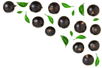 black currant isolated on white background with copy space for your text. Top view. Flat lay pattern