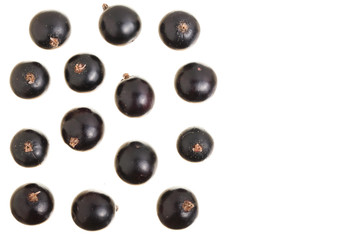 black currant isolated on white background with copy space for your text. Top view. Flat lay pattern