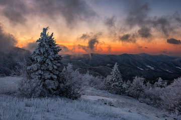 Morning light on a frozen landscape, Appalachian Trail, Tennessee