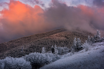 Morning light on a frozen landscape, Appalachian Trail, Tennessee