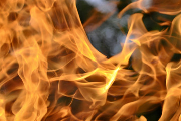 Fire. Wood burning in the fire. Orange flame. Tongue of flame.