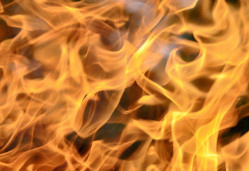 Fototapeta premium Fire. Wood burning in the fire. Orange flame. Tongue of flame.