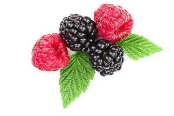 blackberry and raspberry with leaves isolated on white background. Top view. Flat lay pattern