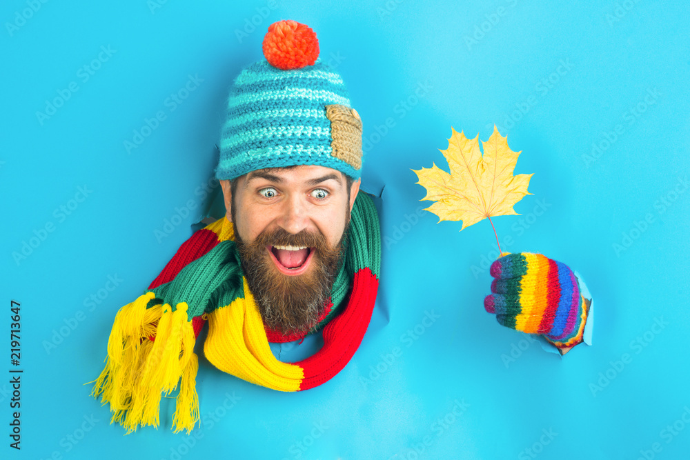 Wall mural Excited bearded man holds autumnal maple leaf in hand. Bearded man in colorful hat look through paper and holds autumn leaf. Autumn mood. Autumn time. Isolated. Sales. Discount. Excited.