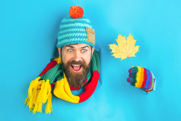 Excited bearded man holds autumnal maple leaf in hand. Bearded man in colorful hat look through...