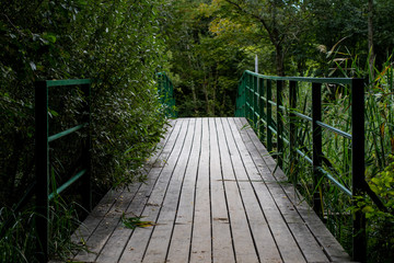 Bridge across the river in the forest. Autumnal scenery in the park.